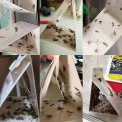Skadedjur & Insekter-10 st flugfällor för att döda flugor och malar nemesis hushåll små insektsartefakter rismjöl mal klibbig rismal gnat malfälla