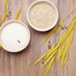 Skadedjur & Insekter-10 st flugfällor för att döda flugor och malar nemesis hushåll små insektsartefakter rismjöl mal klibbig rismal gnat malfälla