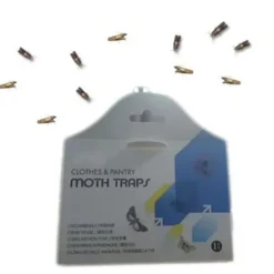 Skadedjur & Insekter-10 st flugfällor för att döda flugor och malar nemesis hushåll små insektsartefakter rismjöl mal klibbig rismal gnat malfälla