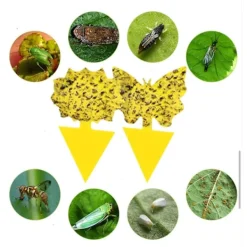 Skadedjur & Insekter-20 st klisterfällor, Klisterfälla för fruktflugor och myggor vid plantering