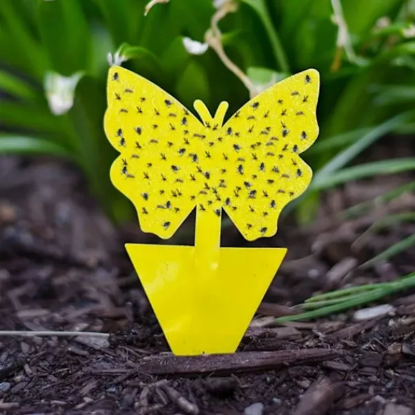 ShineX Skadedjur & Insekter-100 st självhäftande flugfällor insektfälla