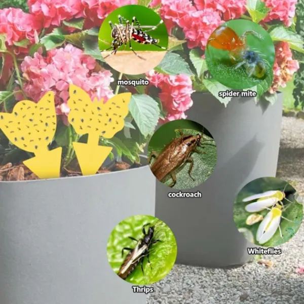 ShineX Skadedjur & Insekter-100 st självhäftande flugfällor insektfälla