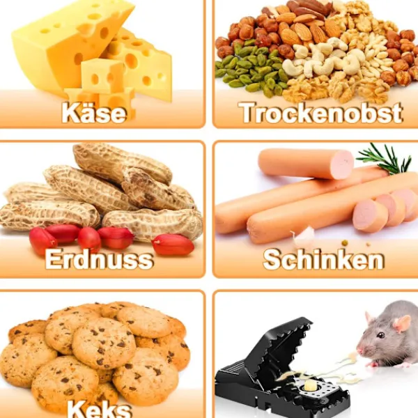 Skadedjur & Insekter-10 st återanvändbara musfällor med betesbehållare