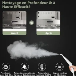 COSTWAY Ångtvättar-Bärbar Handhållere Steam Cleaner 1000W Sängbuggar - 300ml Tank 10 Tillbehör Temperatur 95°C 3 Bar