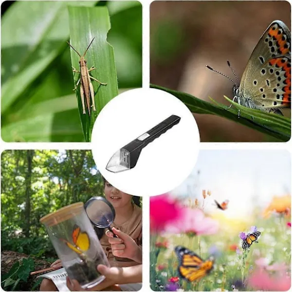 Skadedjur & Insekter-Bärbar Insektsfångare med Visare Transparent Kontaktlös Flugfångare Skopa Klämma Barn Naturleksaker Bi