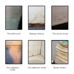 LBSS Rengöringsmedel-Concrobium Form Hushållsrengöringsmedel Form för hemmakontor