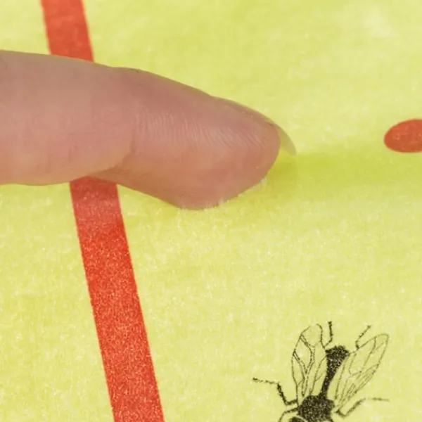 Northix Skadedjur & Insekter-Flugfångare/Klisterfälla - 10 m Rulle