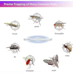 Skadedjur & Insekter-Fsl T8 F10w Bl Ersättningslampa - Uv-rör Kompatibel med Mygg-/insektsdödarlampa (2 st) Utgåva 0626
