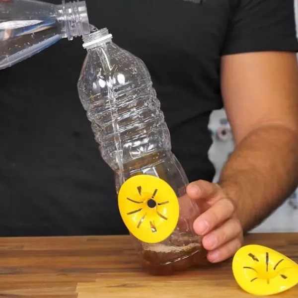 Pricenet Skadedjur & Insekter-Geniala idéer 6 bitar getingfälla för flaskor