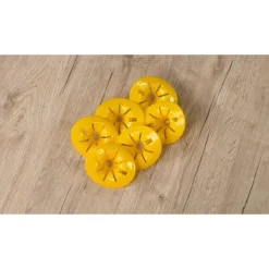 Pricenet Skadedjur & Insekter-Geniala idéer 6 bitar getingfälla för flaskor