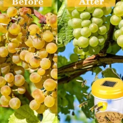 Skadedjur & Insekter-Getingfälla, 2-pack getingfällor för utomhusbruk, bålgetingsfälla, snickarbi-fällor för utomhusbruk, återanvändbar hängande bålgetingsfälla