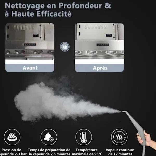 COSTWAY Ångtvättar-Handdammsugare med ångfunktion 1000W för vägglöss 300 ml tank 10 tillbehör Temperatur 95°C Tryck 3 Bar