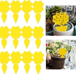 INF Skadedjur & Insekter-Klibbig fälla för skadeinsekter på krukväxter Flugfångare 12-pack