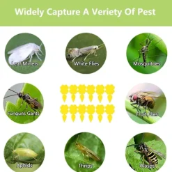 INF Skadedjur & Insekter-Klibbig fälla för skadeinsekter på krukväxter Flugfångare 12-pack