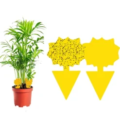 INF Skadedjur & Insekter-60-pack Flugfångare / Flugfälla / Klibbig insektsfälla