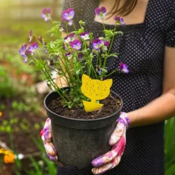 INF Skadedjur & Insekter-60-pack Flugfångare / Flugfälla / Klibbig insektsfälla