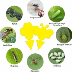 INF Skadedjur & Insekter-60-pack Flugfångare / Flugfälla / Klibbig insektsfälla