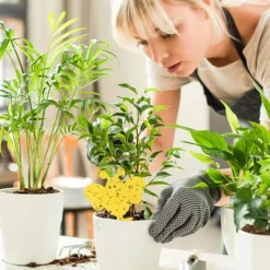 INF Skadedjur & Insekter-60-pack Flugfångare / Flugfälla / Klibbig insektsfälla