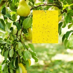 INF Skadedjur & Insekter-Klibbig fälla för skadeinsekter Flugfångare 20-pack 20x10 cm