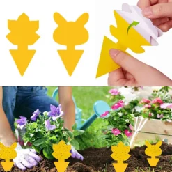 INF Skadedjur & Insekter-Klibbig fälla mot bananflugor och skadedjur på krukväxter 60-pack