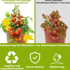 INF Skadedjur & Insekter-Klibbig fälla mot bananflugor och skadedjur på krukväxter 60-pack