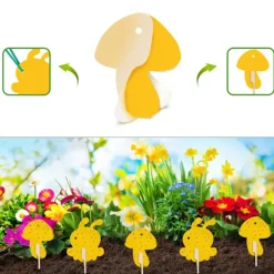 INF Skadedjur & Insekter-Klibbig fälla mot bananflugor och skadedjur på krukväxter 60-pack