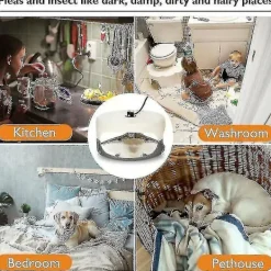 FMYSJ Skadedjur & Insekter-Klibbig loppfälla, vägglusfälla, giftfri och luktfri, lätt loppfälla för barn och husdjur (FMY)