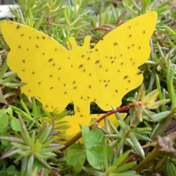 Skadedjur & Insekter-100-pack - Flugfälla / Flugfälla / Myggfångare - Fångar flugor Gul