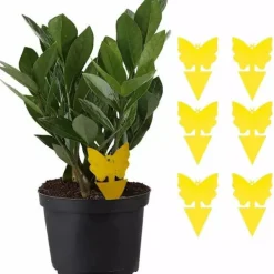 Skadedjur & Insekter-100-pack - Flugfångare / Flugfälla / Myggfångare - Fångar flugor