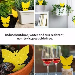 Skadedjur & Insekter-100-pack - Flugfångare / Flugfälla / Myggfångare - Fångar flugor