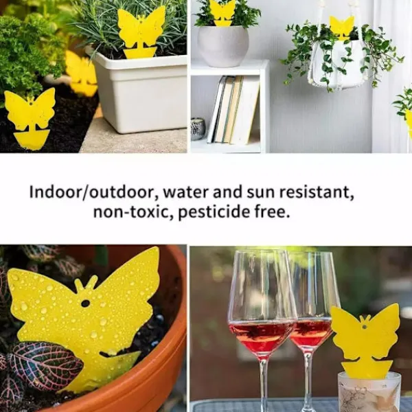 Skadedjur & Insekter-100-pack - Flugfångare / Flugfälla / Myggfångare - Fångar flugor