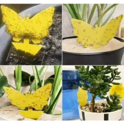 Skadedjur & Insekter-100-pack - Flugfångare / Flugfälla / Myggfångare - Fångar flugor