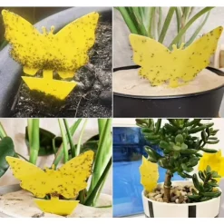 Generic Skadedjur & Insekter-60-pack Flugfångare - Flugfälla - Söta och Effektiva Hund