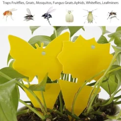 Generic Skadedjur & Insekter-60-pack Flugfångare - Flugfälla - Söta och Effektiva Hund