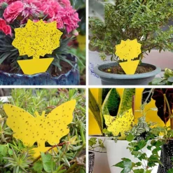 Megabilligt Skadedjur & Insekter-20-pack Flugfångare - Flugfälla - Fjäril