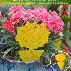 Otego Skadedjur & Insekter-100-pack Flugfångare - Flugfälla - Söta och Effektiva