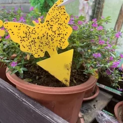 Skadedjur & Insekter-100-pack flugfångare / Klisterfälla