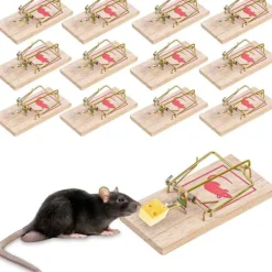 Skadedjur & Insekter-12-pack Musfällor, Råttfälla, Återanvändbar Trämusfälla - Storlek 10*4,5*0,6 cm, Vikt: 30 g