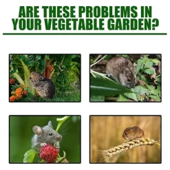 Skadedjur & Insekter-Råttgiftpiller Pack Rodenticid Trädgård Hushåll Bilmotor Råtta Ekorre Gnagare Avskräckande 60pcs