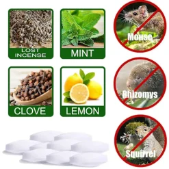 Skadedjur & Insekter-Råttgiftpiller Pack Rodenticid Trädgård Hushåll Bilmotor Råtta Ekorre Gnagare Avskräckande 60pcs