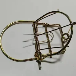 Skadedjur & Insekter-Spiralformad fälla i metall för utomhusbruk, för räv, rödlo, sork, skunk, myskoxe, kanin, skadedjursbekämpning, trädgårdsredskap, gyllene