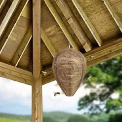 Otego Skadedjur & Insekter-4st Getingfällor giftfritt lockbete av papper, avskräckande för bin - Getingbo