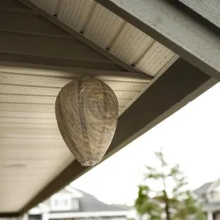 Otego Skadedjur & Insekter-4st Getingfällor giftfritt lockbete av papper, avskräckande för bin - Getingbo