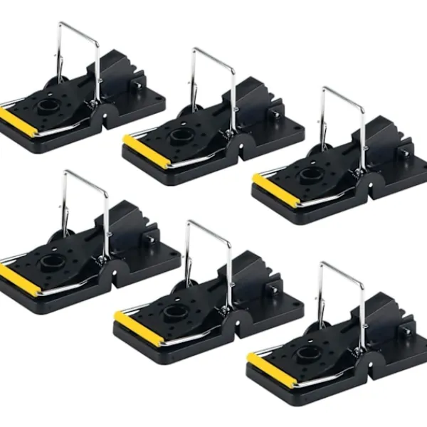 Skadedjur & Insekter-Stor Råttfälla, Återanvändbar Gnagarslösning, 6-pack