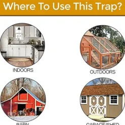 NeunWolken Skadedjur & Insekter-Traditionell musfälla - Musfälla gnagarefällor återanvändbar trä & hållbar skadedjursbekämpning