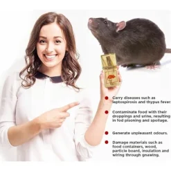 NeunWolken Skadedjur & Insekter-Traditionell musfälla - Musfälla gnagarefällor återanvändbar trä & hållbar skadedjursbekämpning