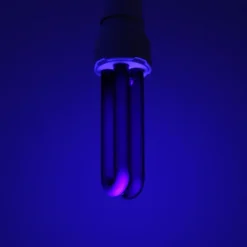unbranded Skadedjur & Insekter-220V 30W E27 UV-ljus Ultraviolett Mosquito Killer Lamp Blacklight UV-ersättningslampa för mygg- och flygande insektsfälla