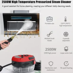 Ångtvättar-2500W Högtemperatur Högtryck Kök Ångrengörare, Hushålls Ångrengörare