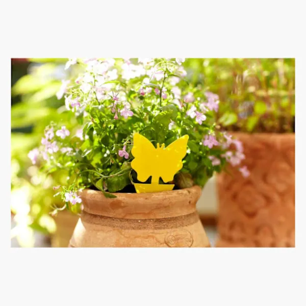 Generic Skadedjur & Insekter-20X Flugfångare Klisterfälla Insektsfälla one size