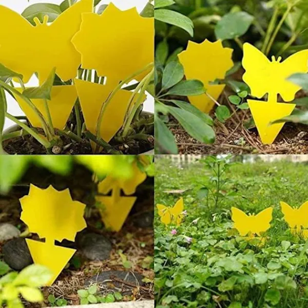 Generic Skadedjur & Insekter-20X Flugfångare Klisterfälla Insektsfälla one size